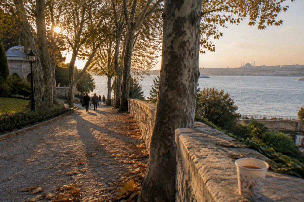 Tree-lined path in Gulhane Park sloping down toward the Bosphorus sea wall