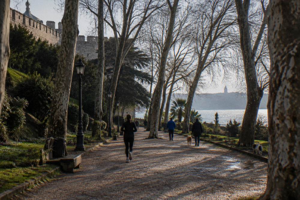 Tree-lined path in Gulhane Park below the palace walls with the Bosphorus visible between branches
